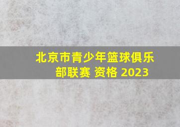 北京市青少年篮球俱乐部联赛 资格 2023